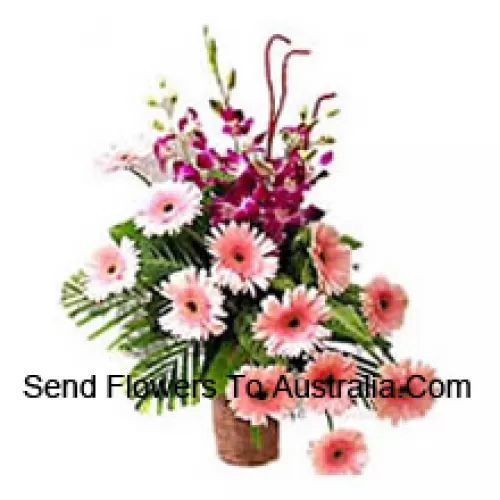 Basket Of Orchids And Gerberas