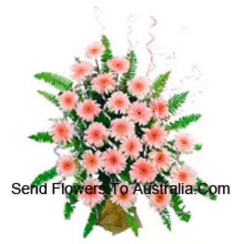 Basket Of 25 Pink Colored Gerberas