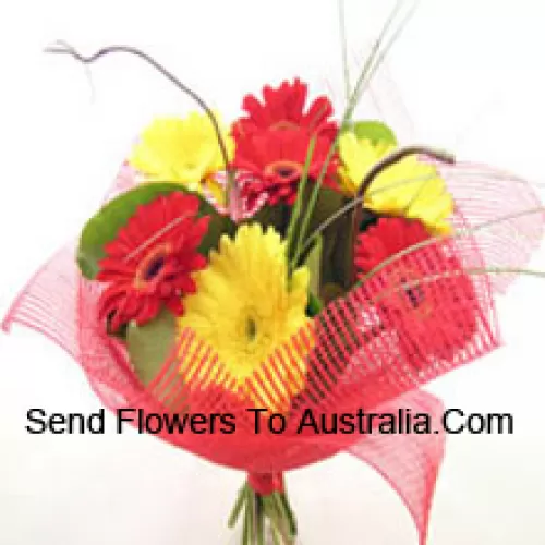 Conjunto de 11 Gerberas Coloridas Mistas