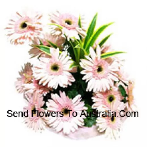 Cesta com 15 Gerberas Rosa