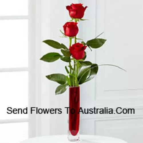 Three Red Roses In A Red Test Tube Vase (We Reserve The Right To Substitute The Vase In Case Of Non-Availability. Limited Stock)